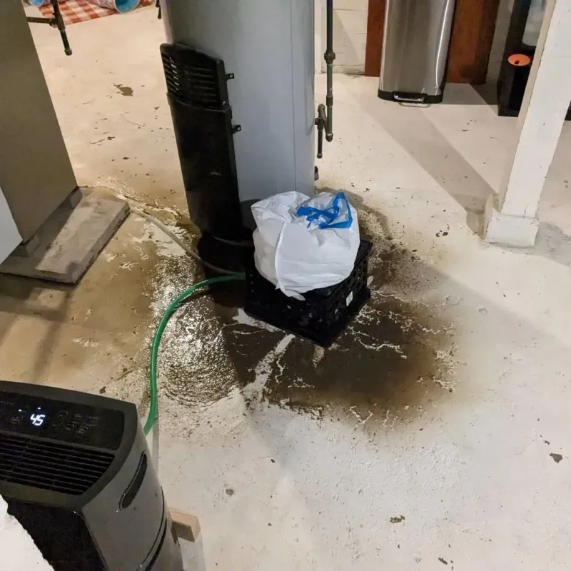 Sewage Backup Cleanup Service in Lyman, MS